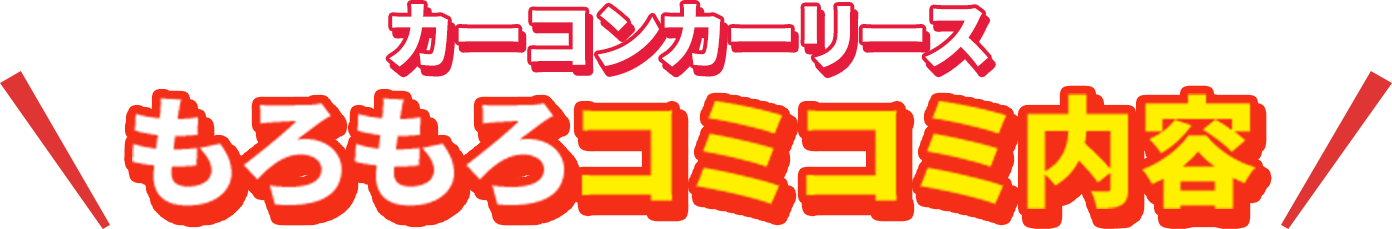 カーコンカーリス もろもろコミコミ内容