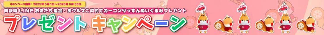 キャンペーン